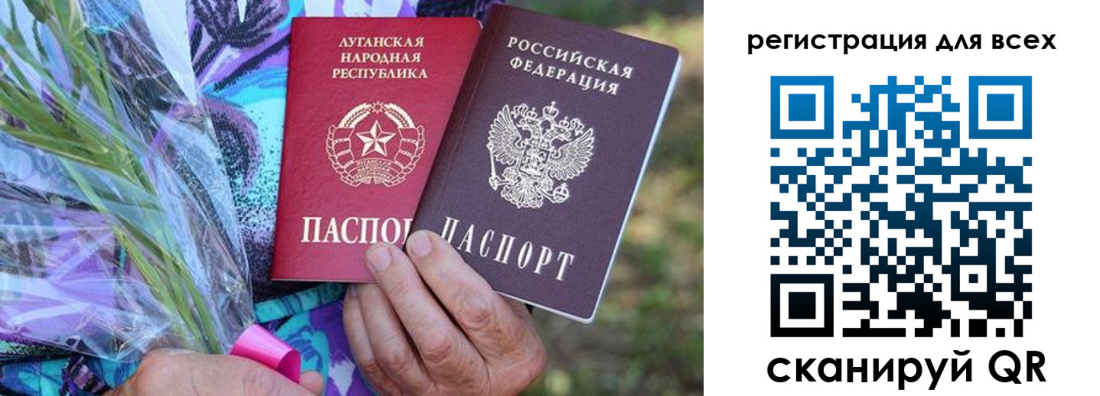 прописка ребенка в Зеленоградске